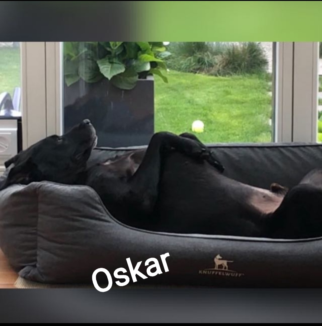 Oskar