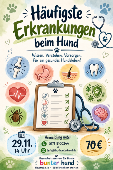 Häufigste Erkrankungen Hund 29.11