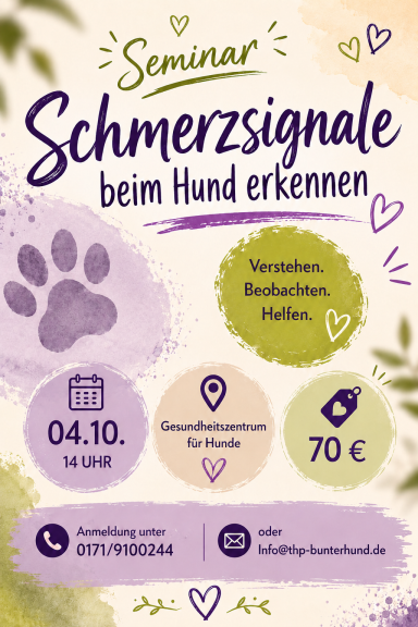 Schmerzsignale beim Hund erkennen 04.10